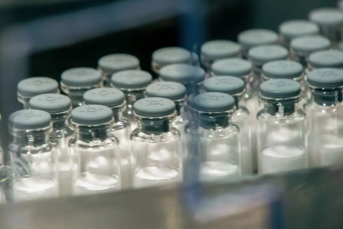 Vacina contra a dengue do Butantan começa a ser aplicada em janeiro Vacina contra a dengue do Butantan começa a ser aplicada em janeiro