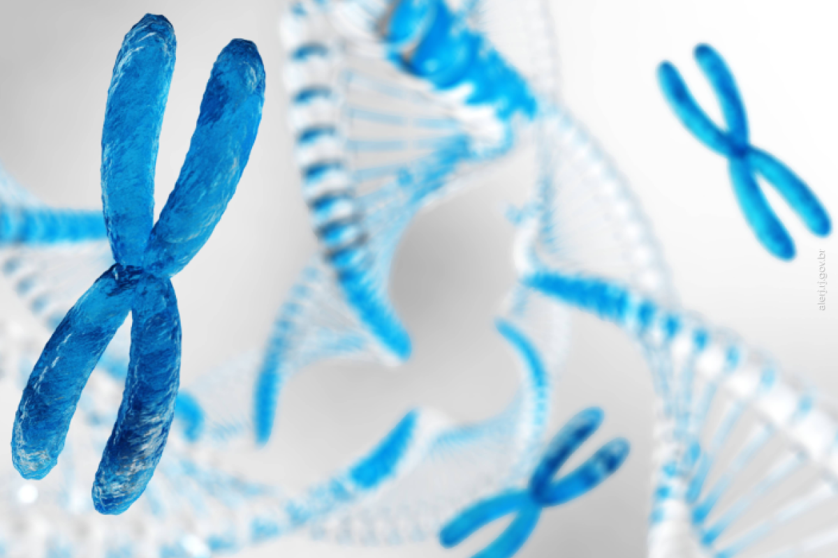 Agora é lei: Instituído no estado programa de prevenção a síndrome de Turner