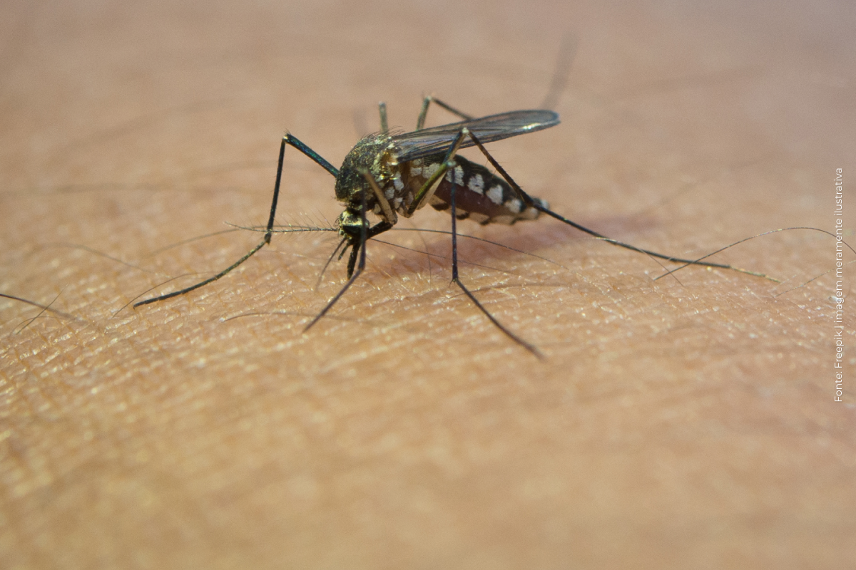 Vírus zika: estudo revela os principais impactos na infância