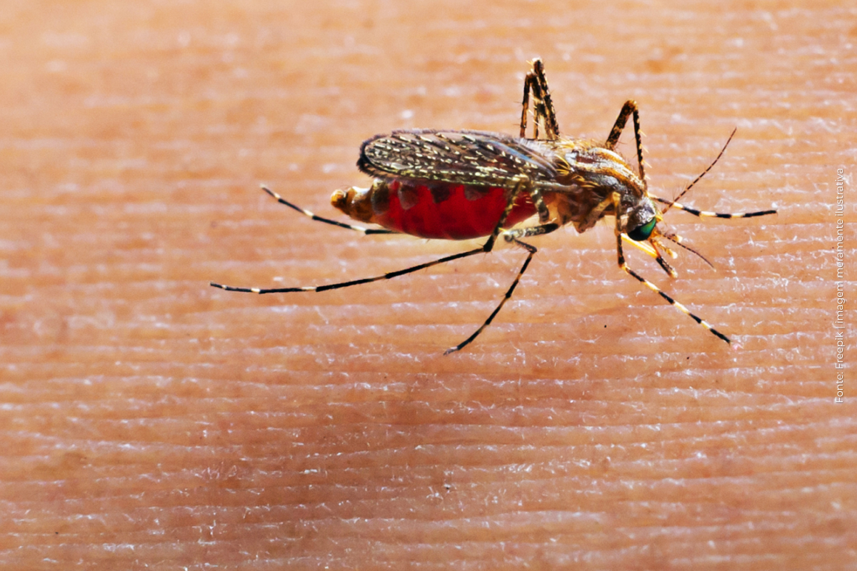 Brasil deve registrar 1,8 milhão de casos de dengue em 2026 Brasil deve registrar 1,8 milhão de casos de dengue em 2026