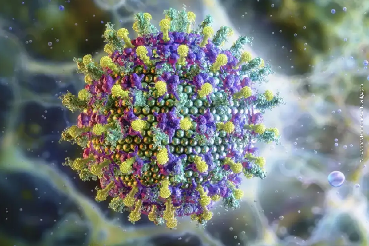 Ministério da Saúde diz que vírus Nipah não ameaça o Brasil Ministério da Saúde diz que vírus Nipah não ameaça o Brasil