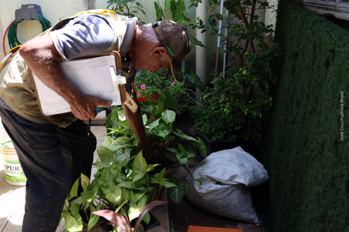 Estudo explica diferença de sintomas entre febre do Oropouche e dengue