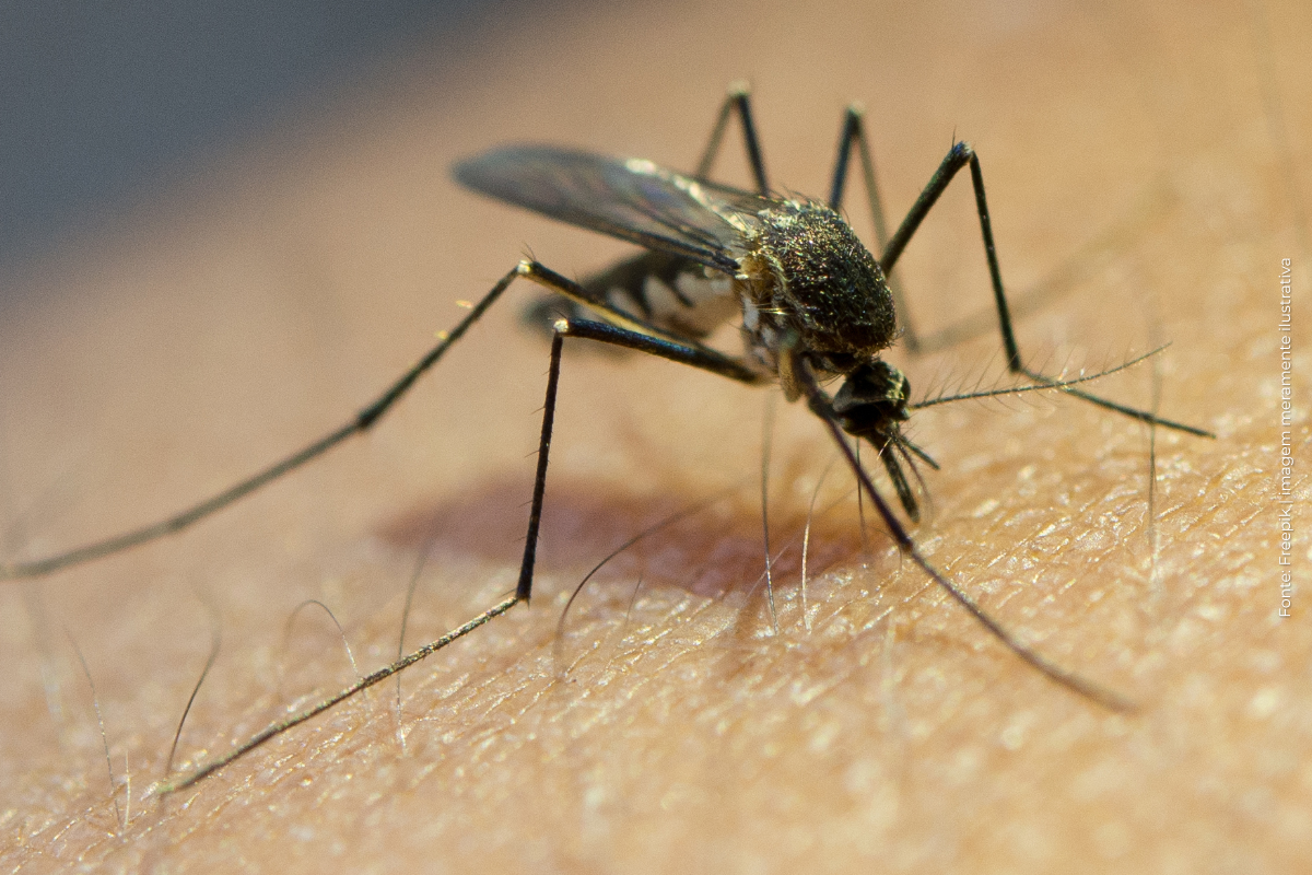 Unidades de Saúde deverão divulgar direito à pensão especial para crianças com Síndrome do Zika Vírus
