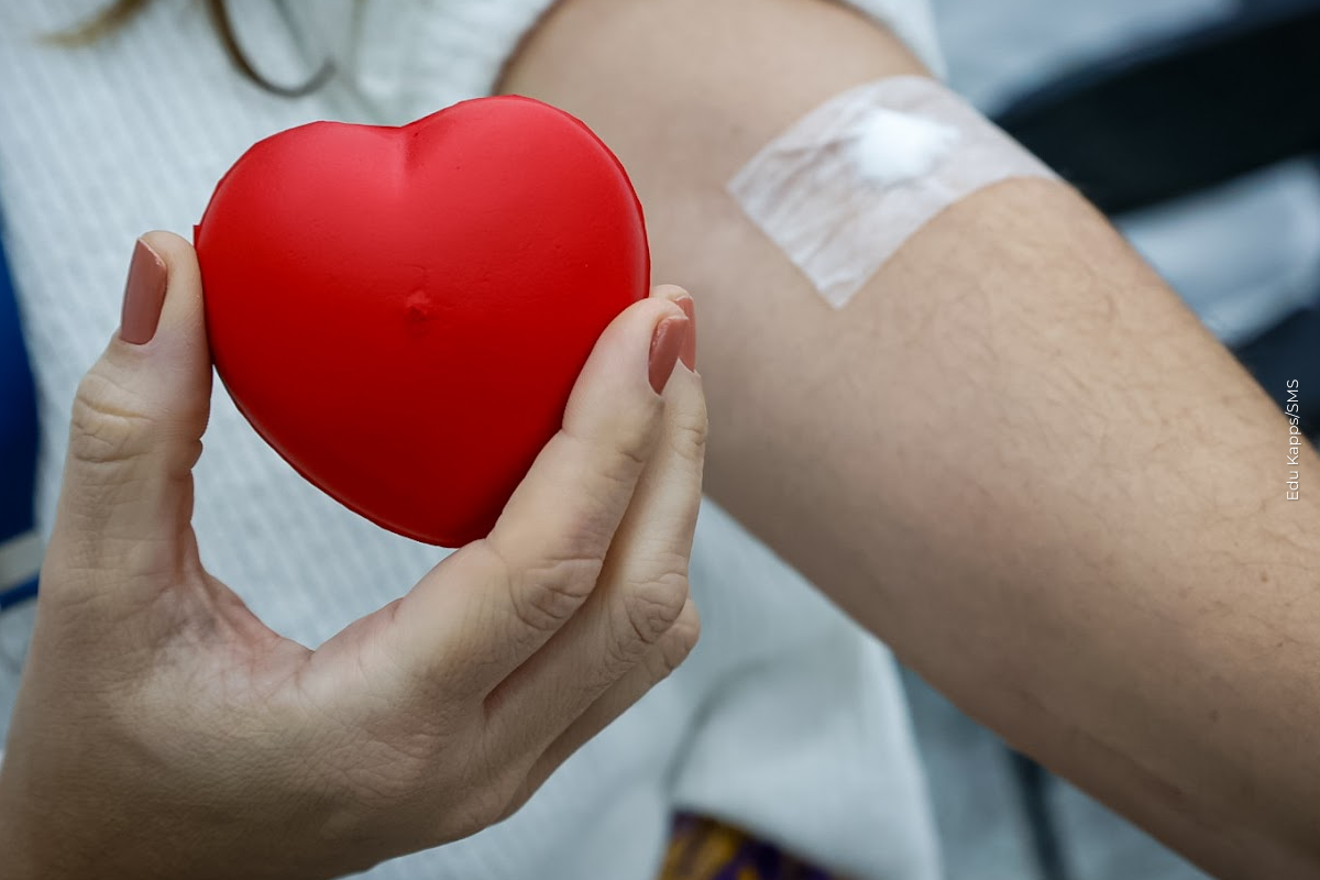 Hospital da Piedade realiza campanha de doação de sangue