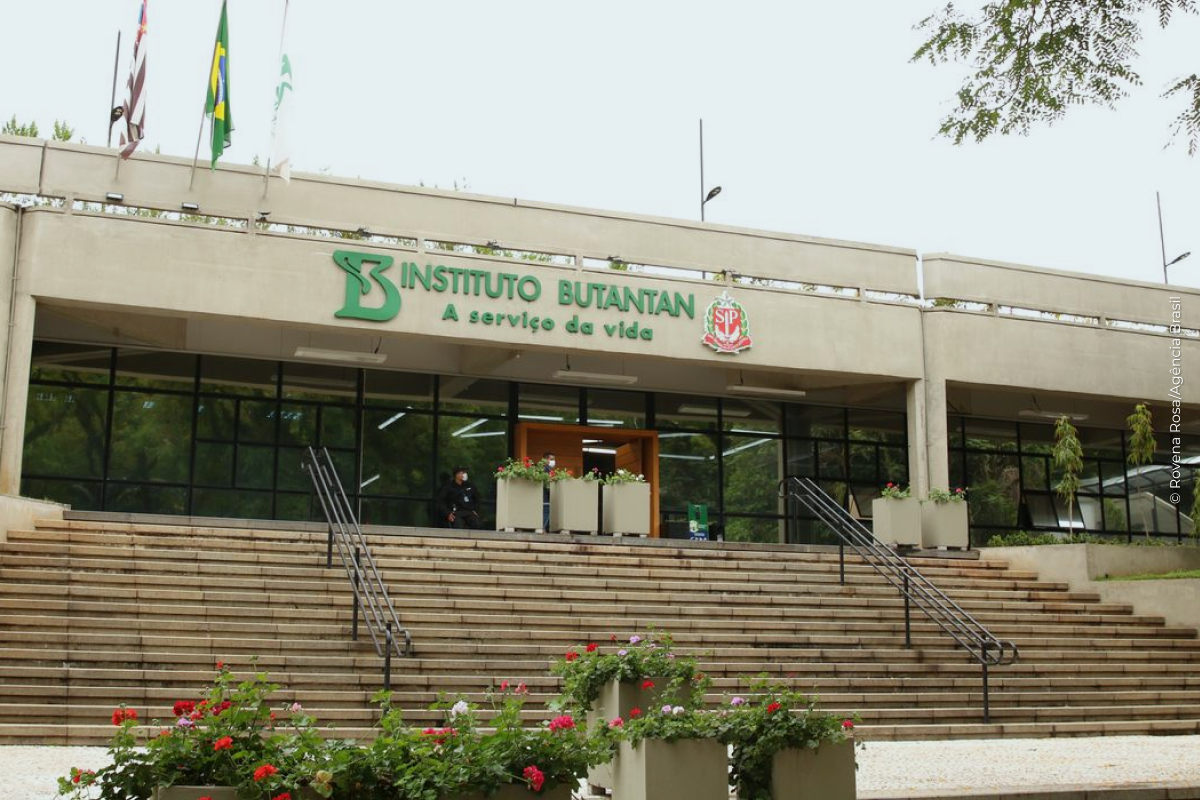 Butantan produzirá remédio contra câncer para o SUS Butantan produzirá remédio contra câncer para o SUS