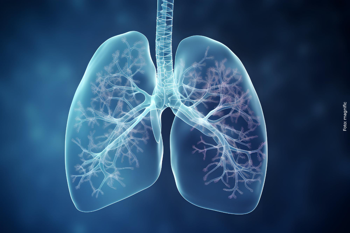 Diagnóstico tardio prejudica vítimas de hipertensão pulmonar, aponta audiência