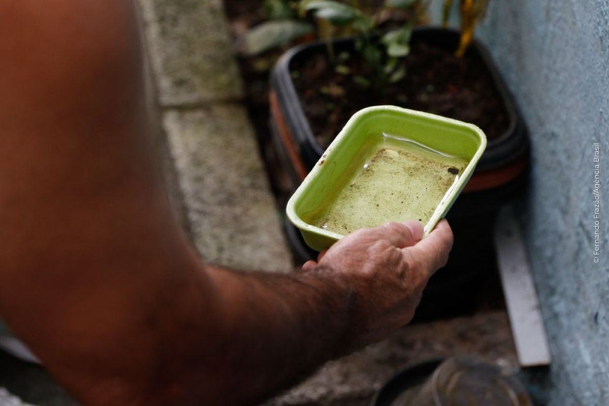 El Niño pode aumentar casos de chikungunya e dengue no Brasil