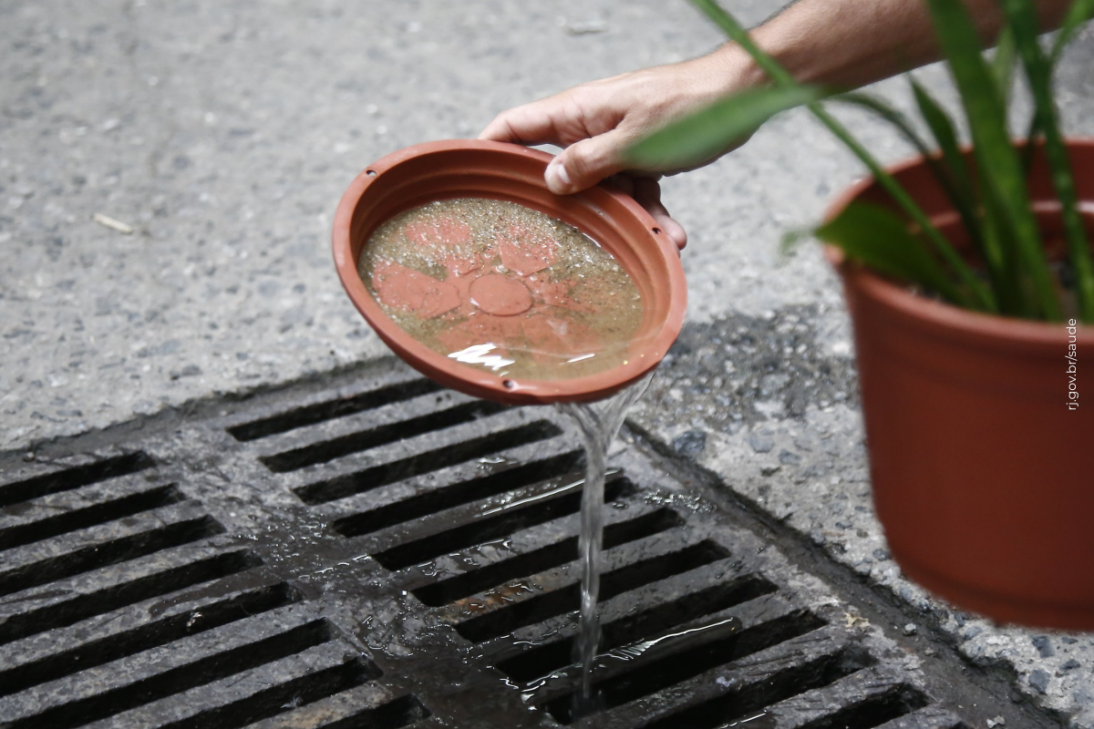 Saúde estadual intensifica ações para prevenir transmissão de arboviroses com a chegada do El Niño