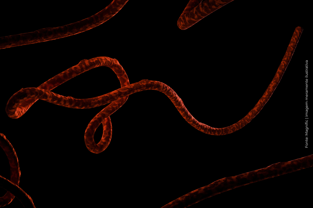 Quênia confirma primeiro caso de ebola; homem morreu após tratamento