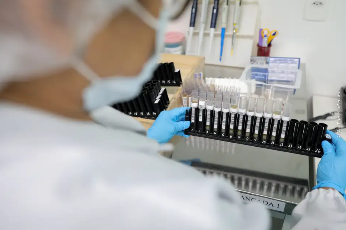 Malária: Anvisa autoriza teste em humanos de vacina 100% brasileira